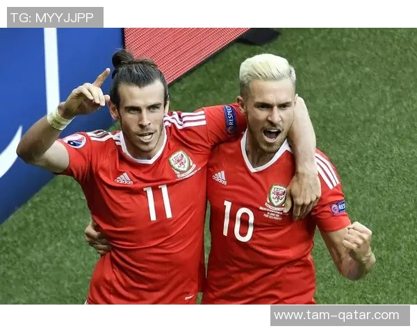 塞尔维亚与威尔士精彩对决全场录像回放及精彩瞬间分析 塞尔维亚与威尔士精彩对决全场录像回放及精彩瞬间分析