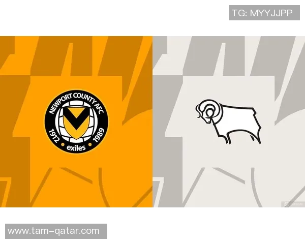 德比郡与加的夫比赛延迟原因分析及后续影响探讨