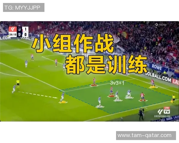 鸟取飞翔与大分公式的精彩对决分析与战术探讨