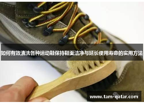 如何有效清洗各种运动鞋保持鞋面洁净与延长使用寿命的实用方法
