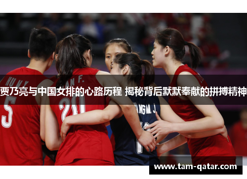 贾乃亮与中国女排的心路历程 揭秘背后默默奉献的拼搏精神