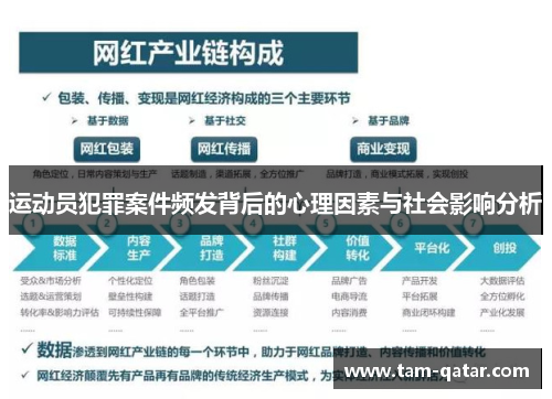 运动员犯罪案件频发背后的心理因素与社会影响分析