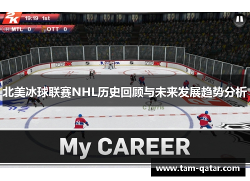 北美冰球联赛NHL历史回顾与未来发展趋势分析