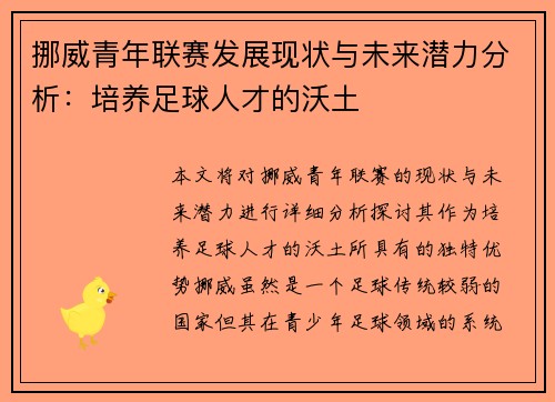 挪威青年联赛发展现状与未来潜力分析：培养足球人才的沃土