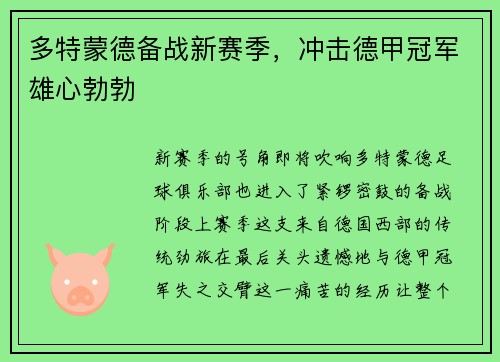 多特蒙德备战新赛季，冲击德甲冠军雄心勃勃