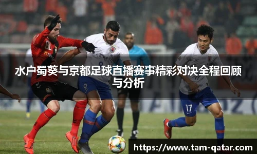 TVT体育登录